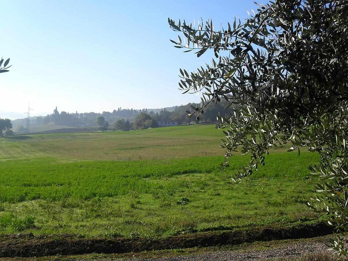 Appartamenti Con Cucina Nelle Colline Toscane Анґ'ярі Екстер'єр фото